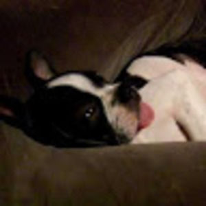 Meet your Posher, Mervin